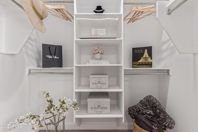 5401 E Van Buren St Unit 1088, Phoenix, AZ 85008 - view of walk in closet
