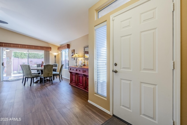 foyer entrance featuring lofted ceiling and wood-type flooring