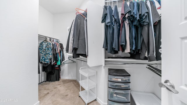 walk in closet with carpet