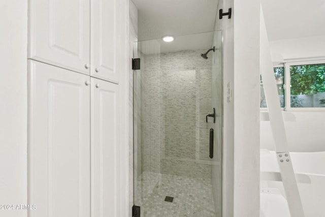 bathroom featuring a shower with shower door