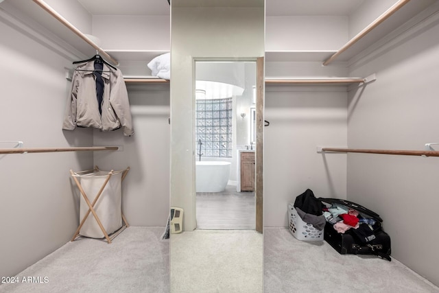 spacious closet with carpet flooring