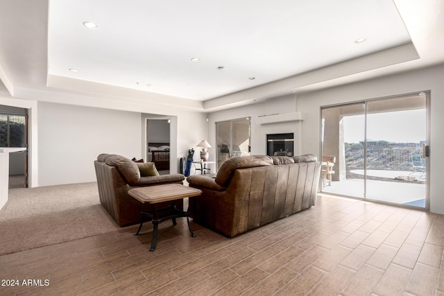 living room with a tray ceiling