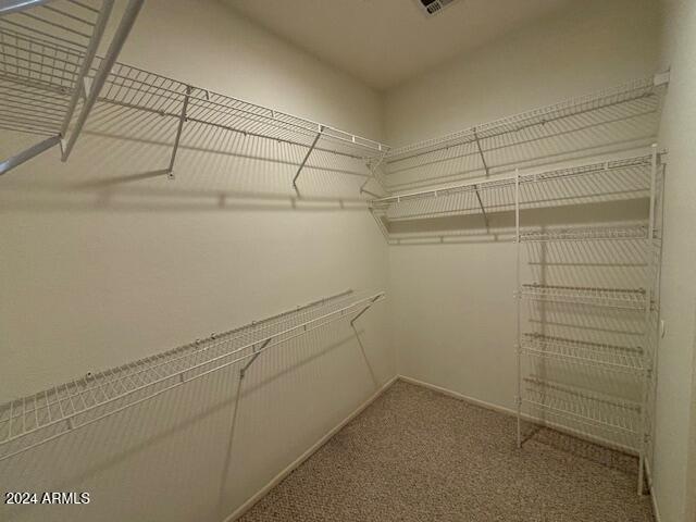 walk in closet with carpet flooring