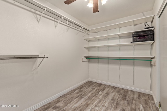 spacious closet with hardwood / wood-style flooring and ceiling fan