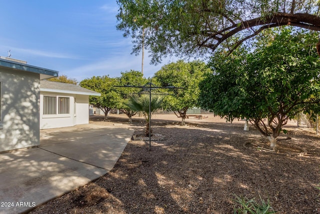 view of yard with a patio