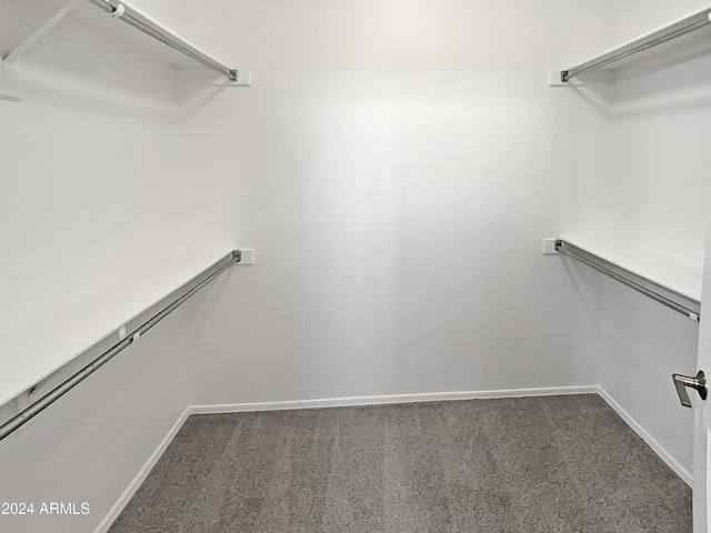 spacious closet featuring dark colored carpet