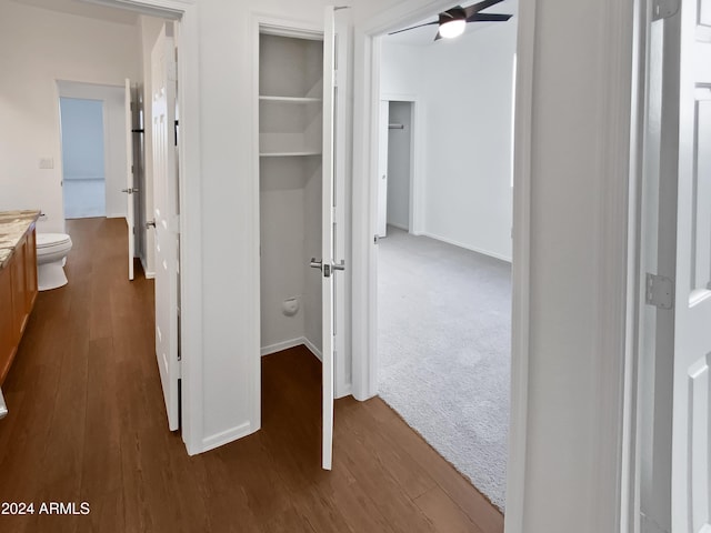 hallway with dark hardwood / wood-style floors