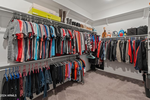 spacious closet with carpet