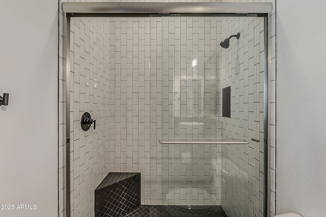199 E Tangerine Path, Queen Creek, AZ 85140 - full bath featuring a shower stall