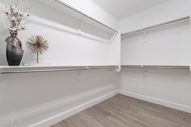 spacious closet featuring light hardwood / wood-style flooring