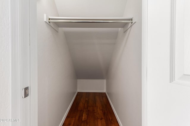 spacious closet with lofted ceiling and wood-type flooring