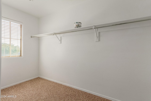 walk in closet with carpet