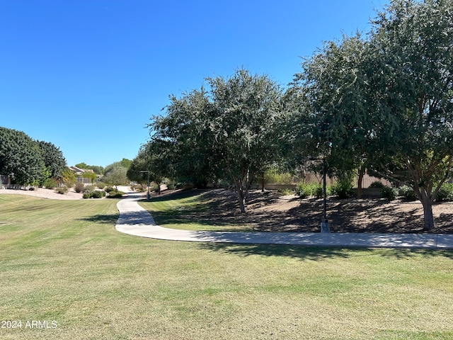 view of community featuring a yard