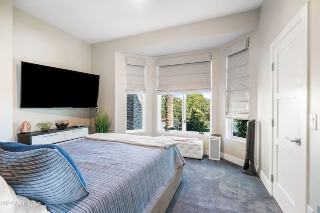 bedroom featuring dark colored carpet