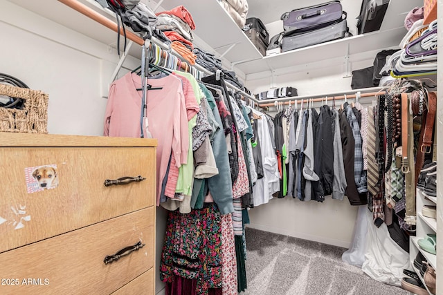 walk in closet featuring carpet flooring