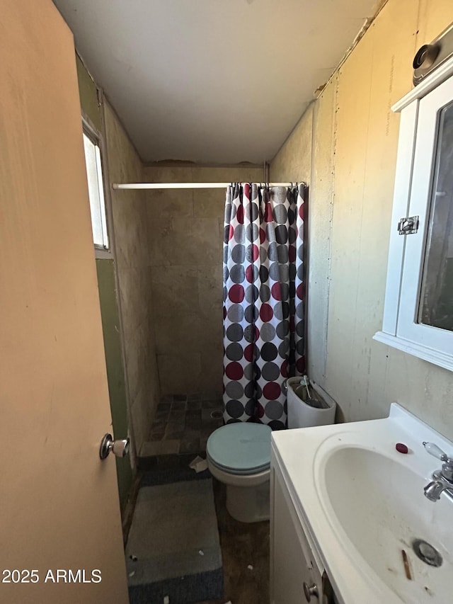 bathroom with toilet, walk in shower, and vanity