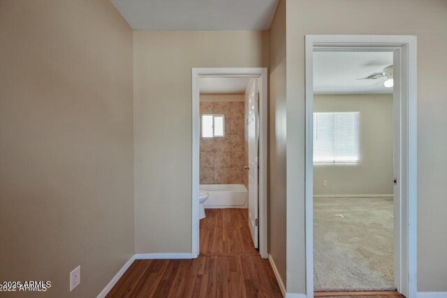3949 E Earll Dr, Phoenix, AZ 85018 - hall featuring baseboards and wood finished floors
