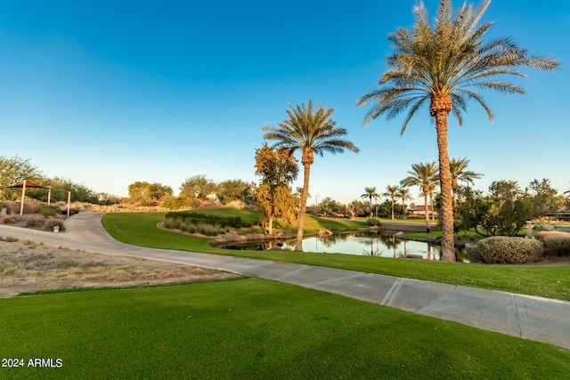 view of community with a water view and a lawn