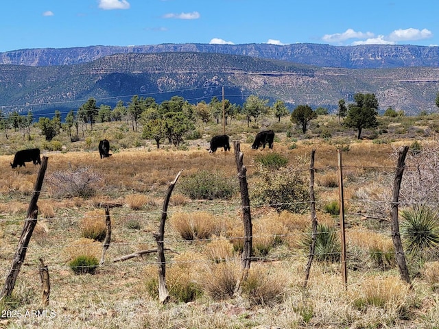 7411 N Toya Vista Rd, Payson, AZ 85541 - mountain view featuring rural landscape