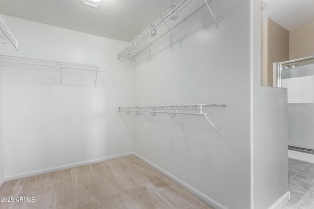 spacious closet with light colored carpet