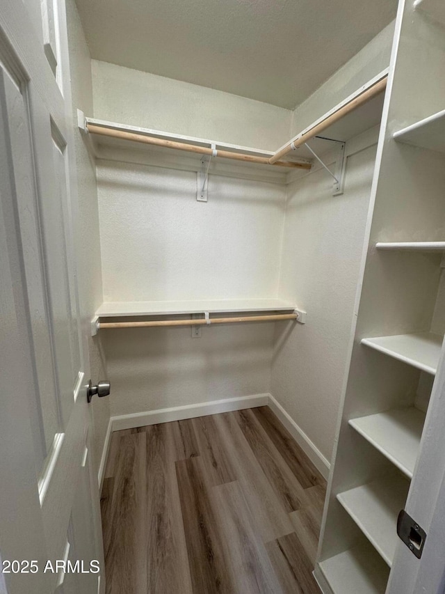 spacious closet featuring wood finished floors