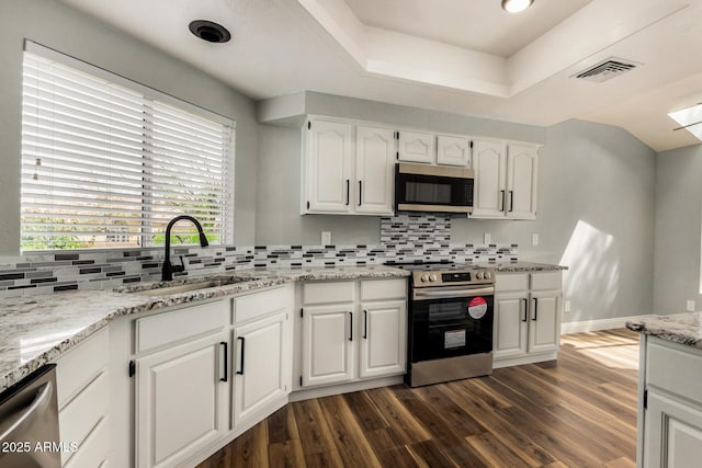 3832 N Gallatin, Mesa, AZ 85215 - kitchen featuring tasteful backsplash, stainless steel appliances, dark wood-type flooring, a sink, and visible vents