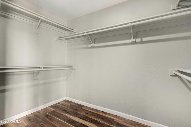 3832 N Gallatin, Mesa, AZ 85215 - spacious closet featuring dark wood-type flooring