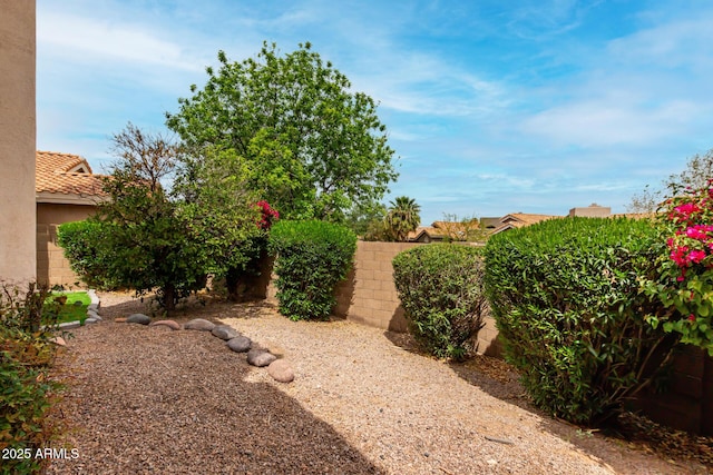 3832 N Gallatin, Mesa, AZ 85215 - view of yard featuring a fenced backyard
