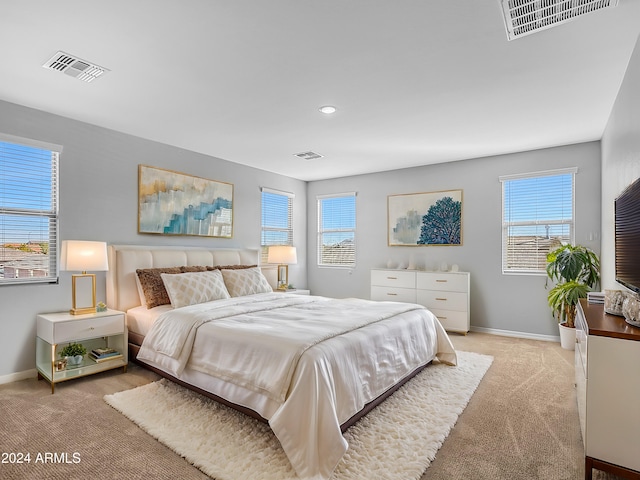 carpeted bedroom with multiple windows