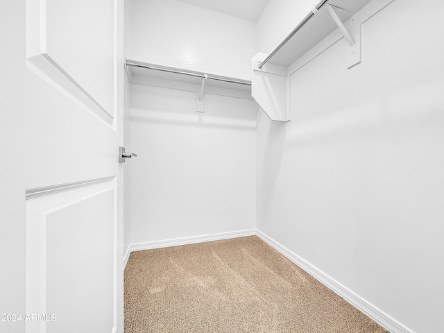 walk in closet featuring carpet