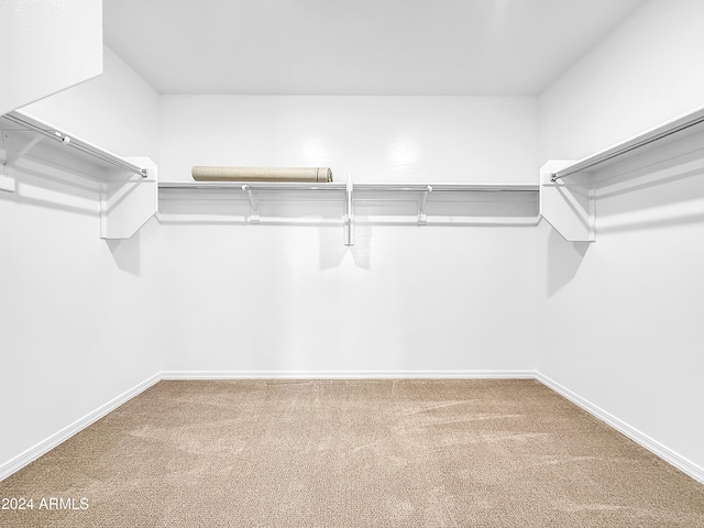 spacious closet featuring carpet