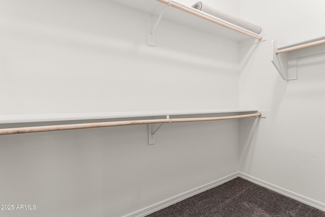 spacious closet featuring dark colored carpet