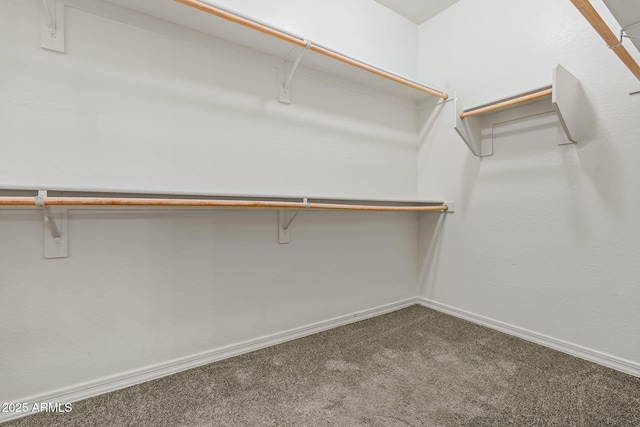 spacious closet featuring carpet floors