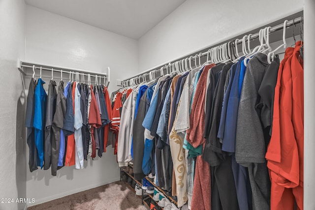 spacious closet featuring carpet