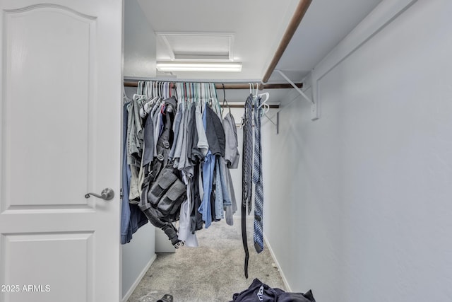 spacious closet with carpet flooring