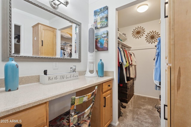 5154 N 83rd St, Scottsdale, AZ 85250 - bathroom featuring vanity and a spacious closet