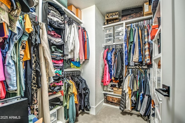 walk in closet with carpet flooring