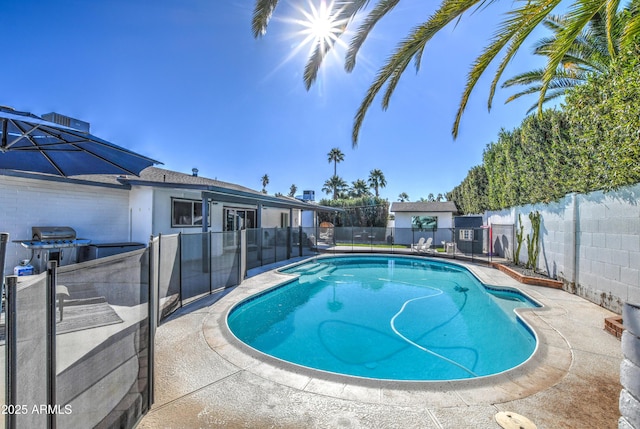 view of swimming pool with a patio