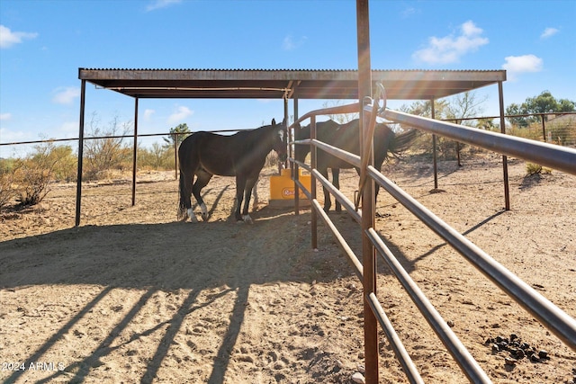 view of horse barn