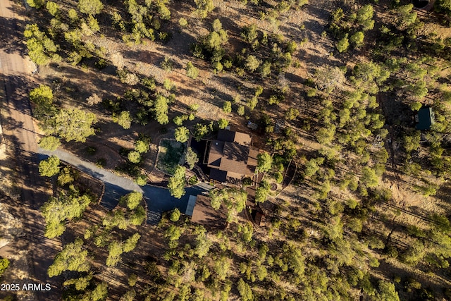 3334 Sawmill Ridge Loop, Heber, AZ 85928 - drone / aerial view
