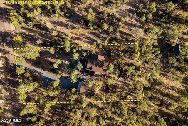 3334 Sawmill Ridge Loop, Heber, AZ 85928 - aerial overview of property's location featuring property parcel outlined