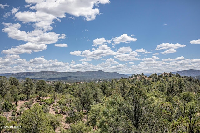 3004 E Hanging Rock Unit 209, Payson AZ, 85541 land for sale