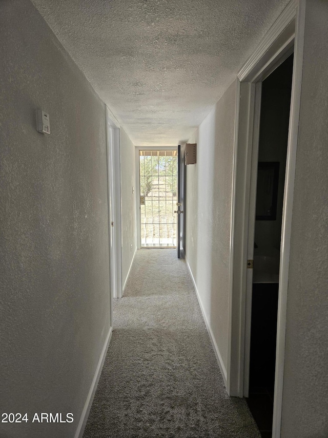 hallway with carpet floors and a textured ceiling