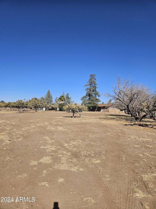 view of yard featuring a rural view