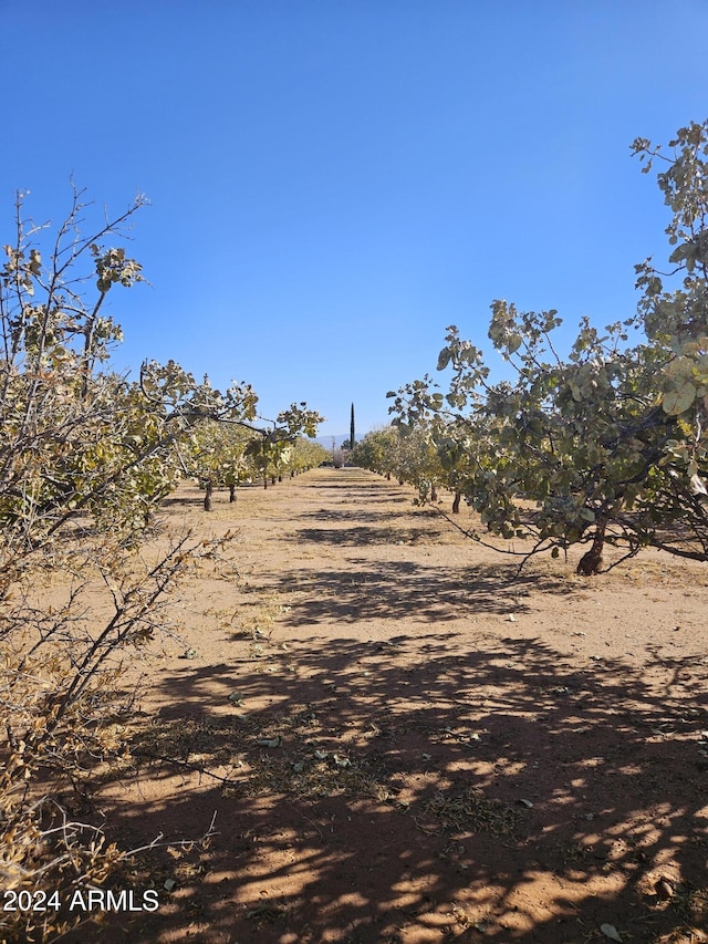 view of street featuring a rural view