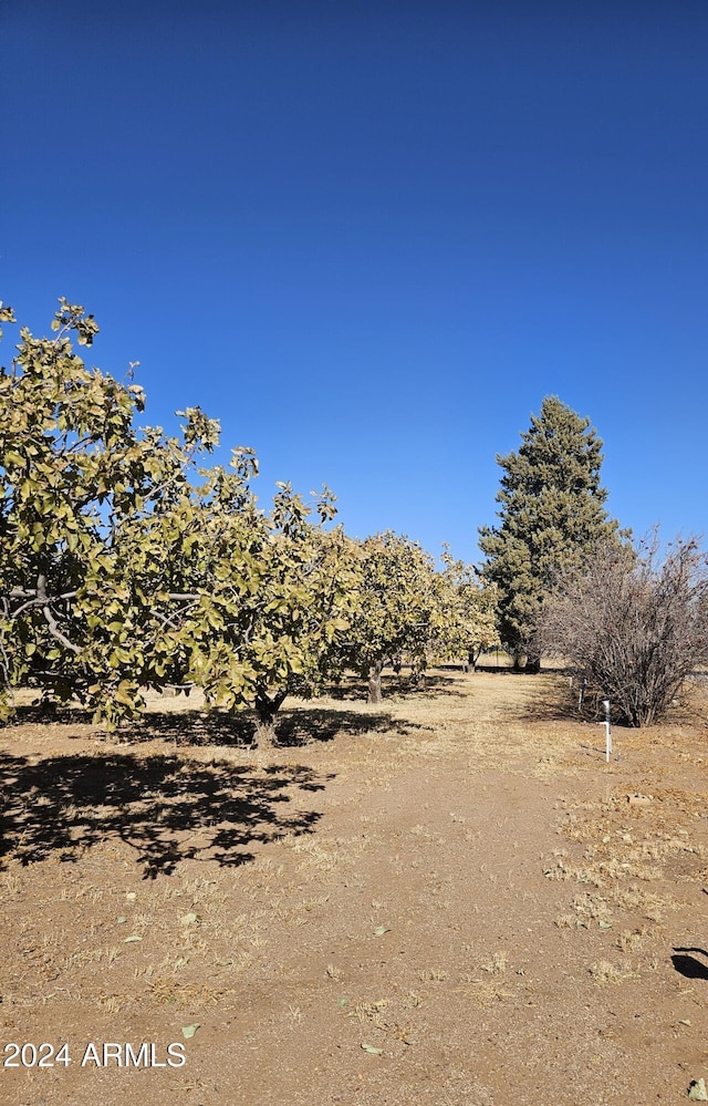 exterior space with a rural view