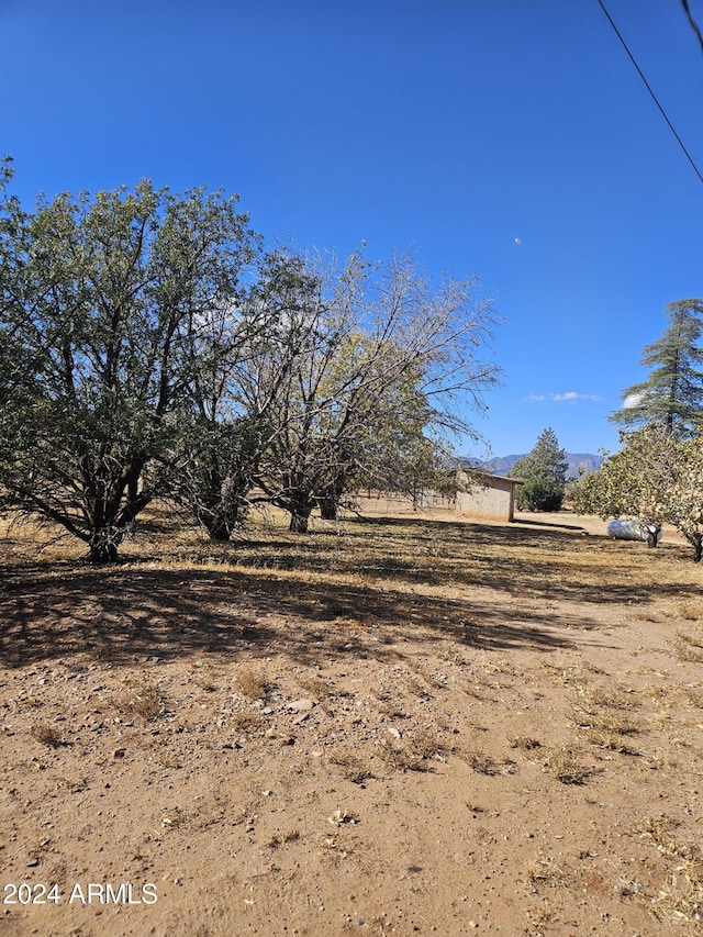 view of yard featuring a rural view