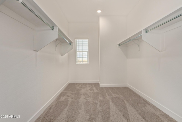 walk in closet with carpet floors