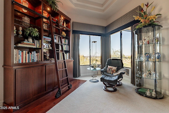 sitting room with a tray ceiling and carpet flooring