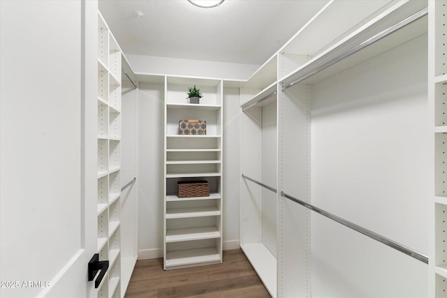 spacious closet with dark hardwood / wood-style floors